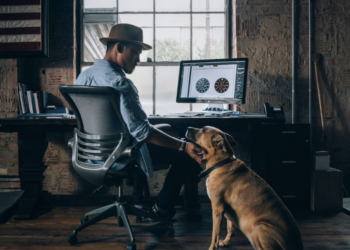 The Startup Magazine How Entrepreneurs Need To Plan To Protect Their Business